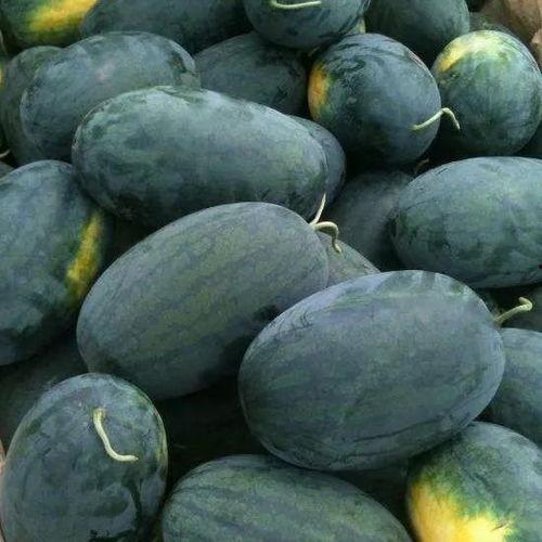 朝阳黑料 吃瓜是什么意思,从“吃瓜”到全民娱乐的演变